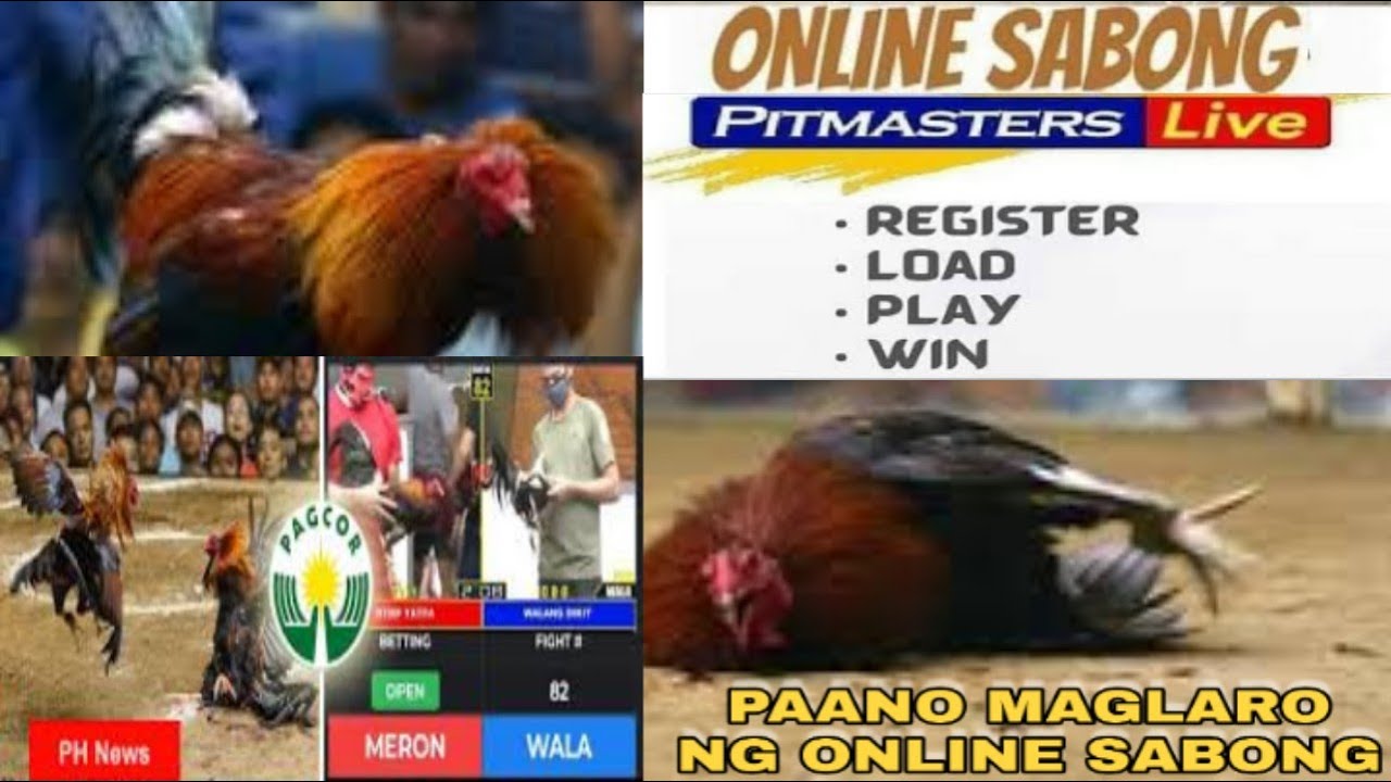 Live Sabong event