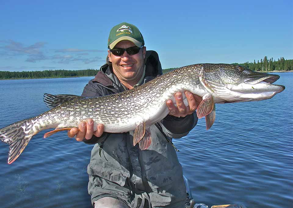Fish Hunting Adventure